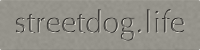 streetdog.life